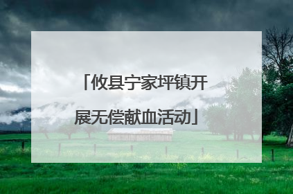 攸县宁家坪镇开展无偿献血活动