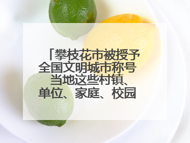 攀枝花市被授予全国文明城市称号 当地这些村镇、单位、家庭、校园也是全国文明！