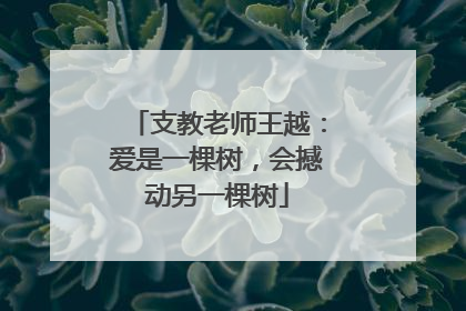 支教老师王越：爱是一棵树，会撼动另一棵树