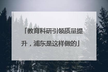教育科研引领质量提升，浦东是这样做的