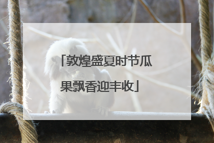 敦煌盛夏时节瓜果飘香迎丰收