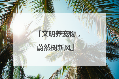 文明养宠物，蔚然树新风