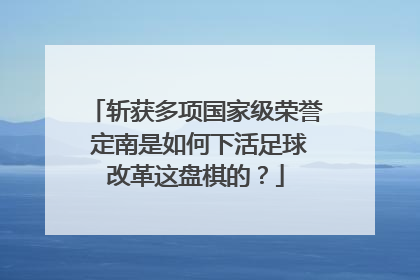 斩获多项国家级荣誉 定南是如何下活足球改革这盘棋的？