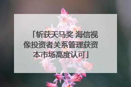 斩获天马奖 海信视像投资者关系管理获资本市场高度认可