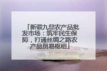 新疆九鼎农产品批发市场：筑牢民生保障，打通丝绸之路农产品贸易枢纽