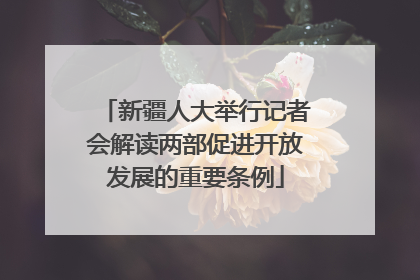 新疆人大举行记者会解读两部促进开放发展的重要条例
