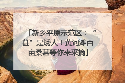 新乡平原示范区：“葚”是诱人！黄河滩百亩桑葚等你来采摘