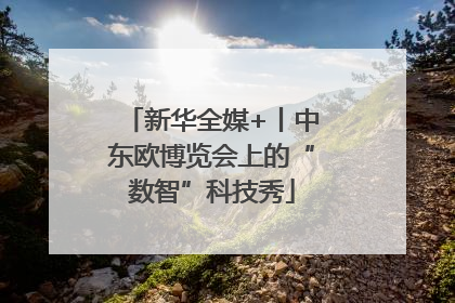 新华全媒+丨中东欧博览会上的“数智”科技秀