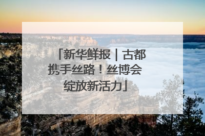 新华鲜报｜古都携手丝路！丝博会绽放新活力