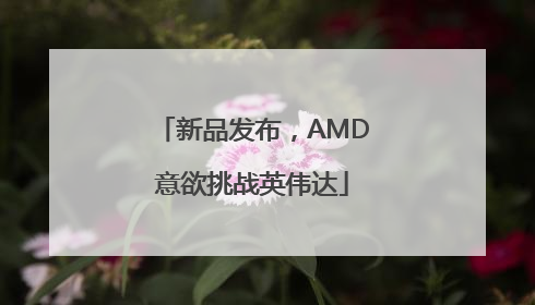 新品发布，AMD意欲挑战英伟达