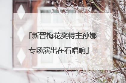 新晋梅花奖得主孙娜专场演出在石唱响