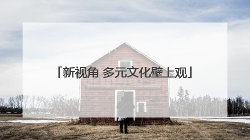 新视角 多元文化壁上观