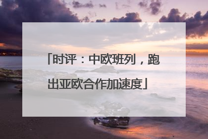时评：中欧班列，跑出亚欧合作加速度