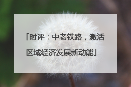 时评：中老铁路，激活区域经济发展新动能