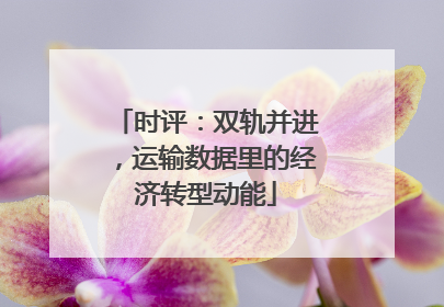 时评：双轨并进，运输数据里的经济转型动能