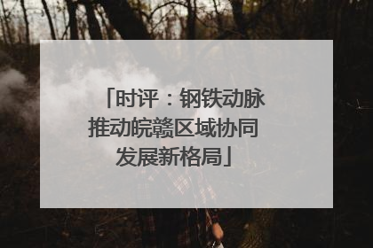 时评：钢铁动脉推动皖赣区域协同发展新格局
