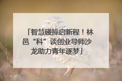 智慧碰撞启新程！林邑“科”谈创业导师沙龙助力青年逐梦