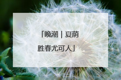 晚潮｜夏荫胜春尤可人