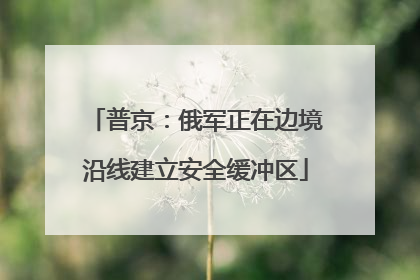 普京：俄军正在边境沿线建立安全缓冲区