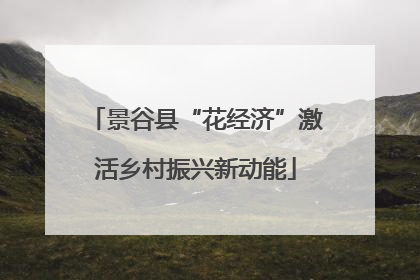 景谷县“花经济”激活乡村振兴新动能