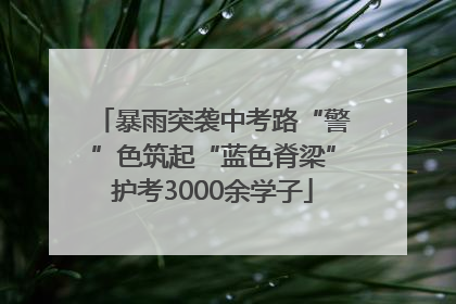 暴雨突袭中考路“警”色筑起“蓝色脊梁”护考3000余学子
