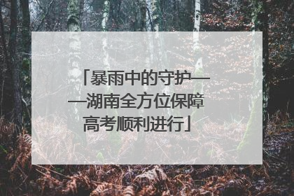 暴雨中的守护——湖南全方位保障高考顺利进行