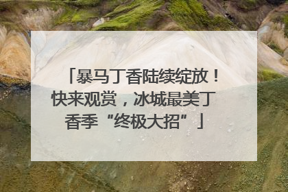 暴马丁香陆续绽放！快来观赏，冰城最美丁香季“终极大招”