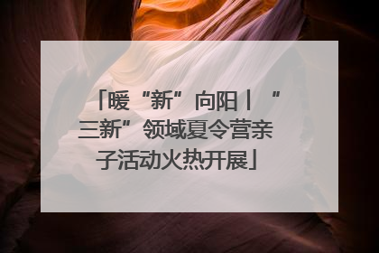暖“新”向阳丨“三新”领域夏令营亲子活动火热开展