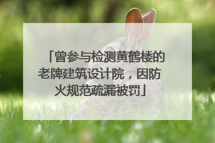 曾参与检测黄鹤楼的老牌建筑设计院，因防火规范疏漏被罚