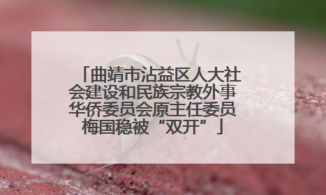 曲靖市沾益区人大社会建设和民族宗教外事华侨委员会原主任委员梅国稳被“双开”