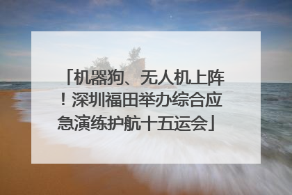 机器狗、无人机上阵！深圳福田举办综合应急演练护航十五运会