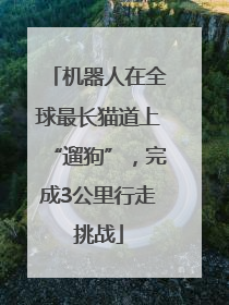 机器人在全球最长猫道上“遛狗”，完成3公里行走挑战