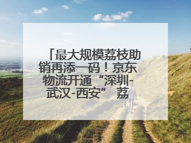 最大规模荔枝助销再添一码！京东物流开通“深圳-武汉-西安” 荔枝全货机航线