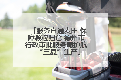 服务直通麦田 保障颗粒归仓 德州市行政审批服务局护航“三夏”生产