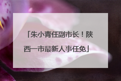 朱小青任副市长！陕西一市最新人事任免