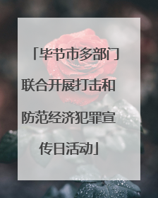 毕节市多部门联合开展打击和防范经济犯罪宣传日活动