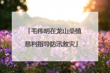 毛伟明在龙山桑植慈利指导防汛救灾