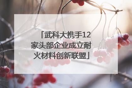 武科大携手12家头部企业成立耐火材料创新联盟
