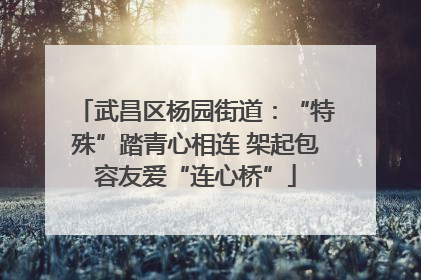 武昌区杨园街道：“特殊”踏青心相连 架起包容友爱“连心桥”