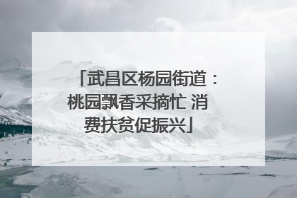 武昌区杨园街道：桃园飘香采摘忙 消费扶贫促振兴