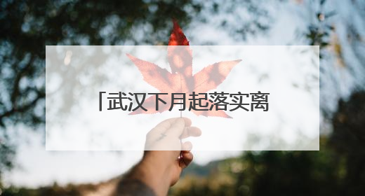 武汉下月起落实离境退税政策 33家企业具备资质