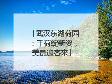 武汉东湖荷园：千荷绽新姿，美景迎客来