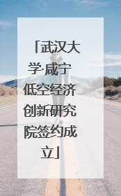 武汉大学·咸宁低空经济创新研究院签约成立
