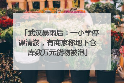 武汉暴雨后：一小学停课清淤，有商家称地下仓库数万元货物被泡