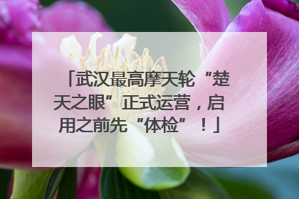 武汉最高摩天轮“楚天之眼”正式运营，启用之前先“体检”！