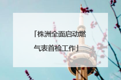 株洲全面启动燃气表首检工作