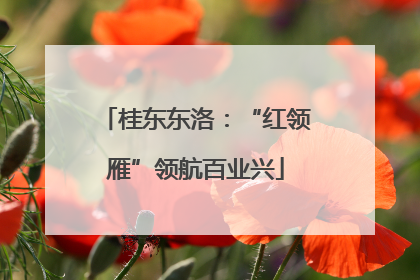 桂东东洛：“红领雁”领航百业兴