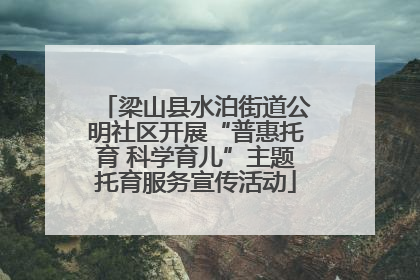 梁山县水泊街道公明社区开展“普惠托育 科学育儿”主题托育服务宣传活动