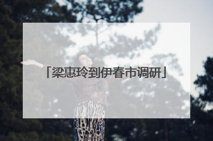 梁惠玲到伊春市调研
