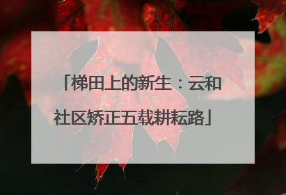 梯田上的新生：云和社区矫正五载耕耘路